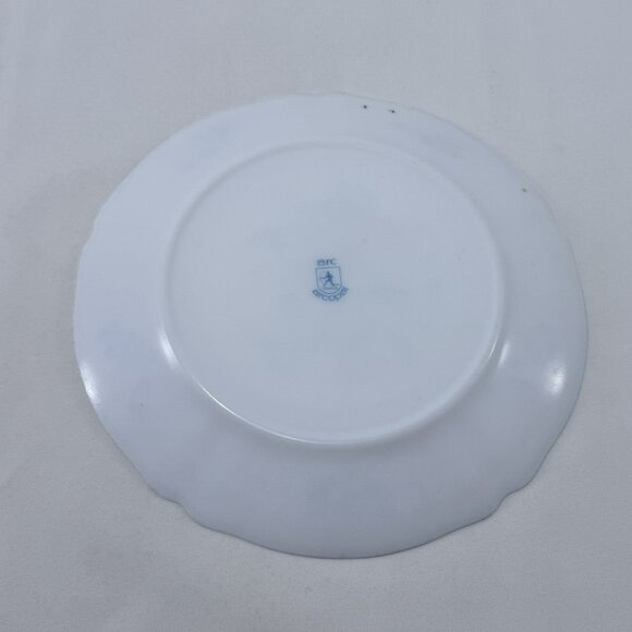 Vintage Arcopal France Provincial Dinner Plate 10” Flower Spring Summer Garden - Picture 2 of 12